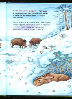 Фридерун Райхенштеттер: Как живут кролики и зайцы. Познавательные истории