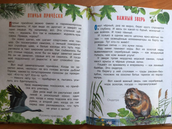 Николай Сладков: Лесные сказки