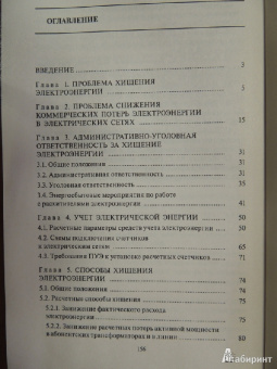 Валентин Красник: 102 способа хищения электроэнергии