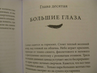 Клайв Финлейсон: Умный неандерталец. Охота на птиц, пещерное искусство и когнитивная революция
