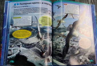 Кармен Родригес: Подводный мир. Большая детская энциклопедия