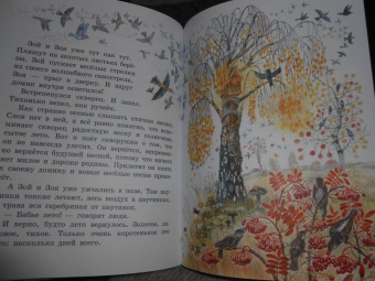 Виталий Бианки: Сказки о солнечных зайчиках