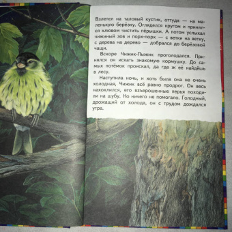 Евгений Пермяк: Чижик-Пыжик