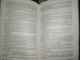 Камилла Лэкберг: Ведьма