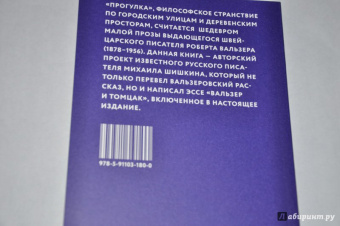 Вальзер, Шишкин: Прогулка