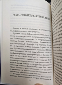 Сергей Зинин: Есенин и Софья Толстая