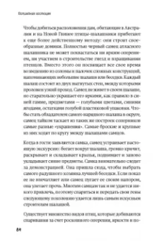 Стёстад Нюборг: Волшебная эволюция. Зачем рыбы взбираются по водопадам, а пауки танцуют