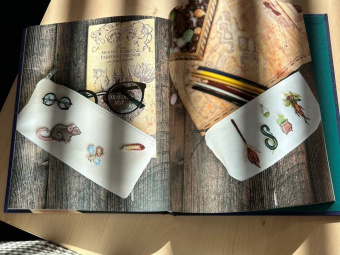 Панина, Громова: Школа вышивки для поттероманов. 28 магических сюжетов для вышивки гладью из вселенной Гарри Поттера