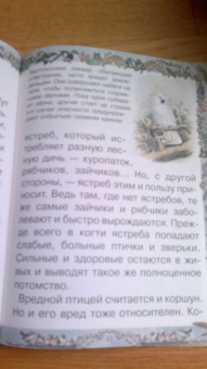 Валерий Роньшин: Птичьи секреты