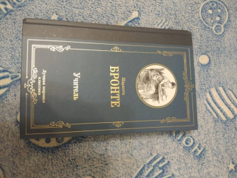 Шарлотта Бронте: Учитель