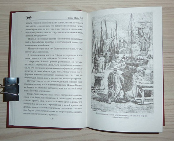 Рид Майн: Пиратский остров. Молодые невольники