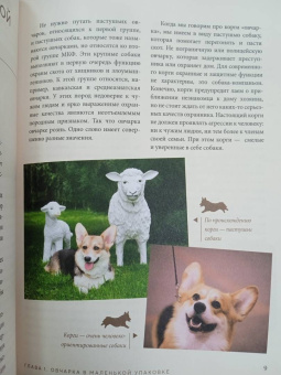 Ольга Шилова: Великолепные корги. Все о породах вельш-корги-пемброк и вельш-корги-кардиган