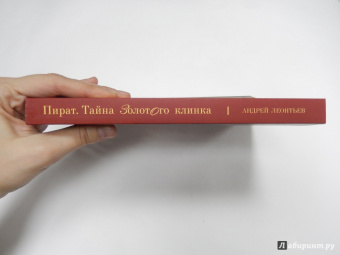 Андрей Леонтьев: Пират. Тайна золотого клинка