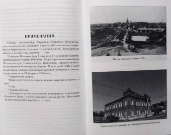Филипп Голиков: Красные орлы