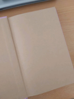 Гюстав Флобер: Госпожа Бовари