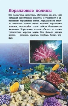 Дмитрий Кошевар: Жители морей и океанов