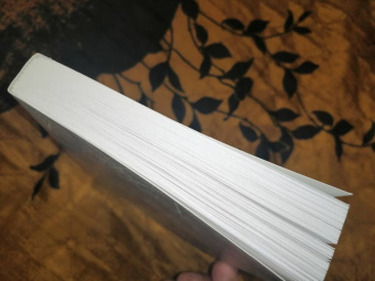 Лэй Ми: Ящик Скиннера