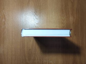 Ирвин Уэлш: Кошмары Аиста Марабу