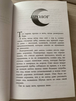 Ши Эрншоу: Зимняя Чаща