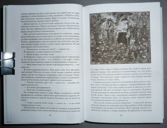 Артур Дойл: Приключения бригадира Жерара