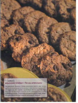 Десерты. Пирожные, печенье, кексы