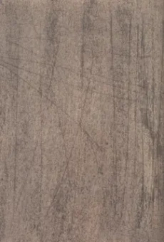 Осип Мандельштам: Камень. Tristia. 1921-1925