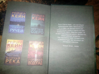 Рейчел Кейн: Мрачный залив