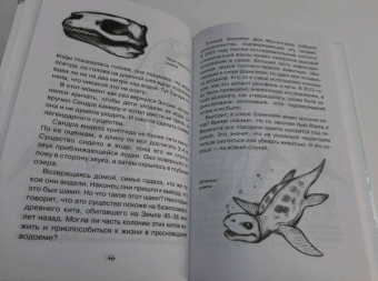 Келли Холлс: Загадочные существа