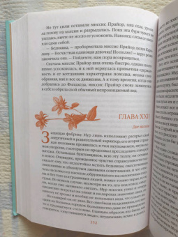 Шарлотта Бронте: Шерли