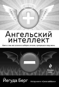 Йегуда Берг: Ангельский интеллект
