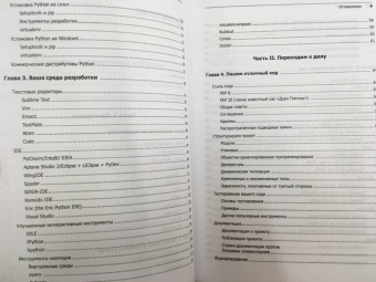 Рейтц, Шлюссер: Автостопом по Python