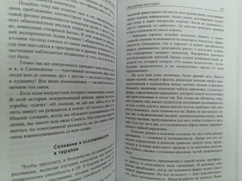 Арнольд Минделл: Сновидение в бодрствовании. Методы 24-часового осознаваемого сновидения в психотерапии