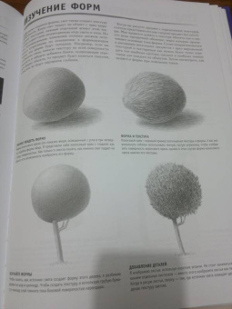 Ферраро, Меткалф, Ньюхолл: Основы каллиграфии и леттеринга