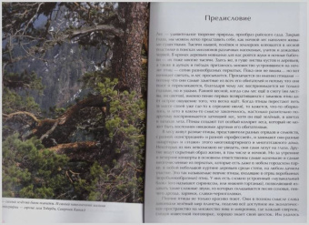 Константин Михайлов: Лесные птицы России