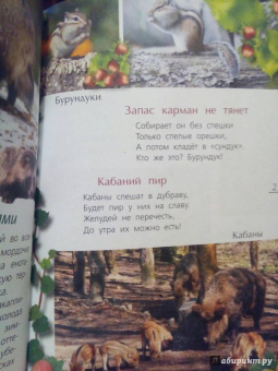 Александр Тихонов: Лесные тайны