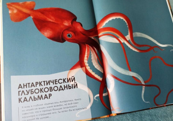 Олливье, Клаас: Животные-гиганты
