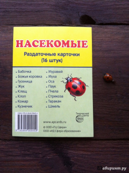 Раздаточные карточки "Насекомые" (63х87мм)