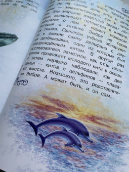 Наталия Немцова: Тайны океана. Сказки для почемучки