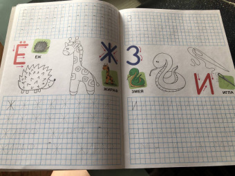 Умные клеточки. Учимся писать