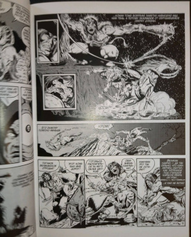 Рой Томас: Конан-варвар. Тайна Гибельной реки