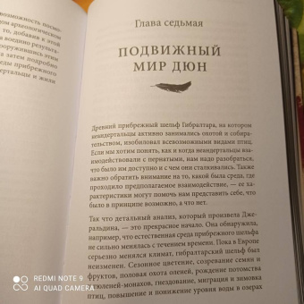 Клайв Финлейсон: Умный неандерталец. Охота на птиц, пещерное искусство и когнитивная революция