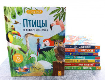 Джеки Маккэнн: Птицы. От колибри до страуса