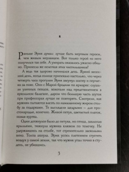 Эйке Шнайдер: Чистильщик