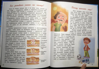 Толмачев, Маницкая: О человеке