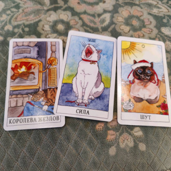 Котт Линн: Cat Tarot. Таро Котиков, 78 карт и руководство в подарочном футляре