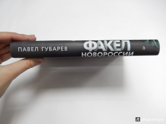 Павел Губарев: Факел Новороссии