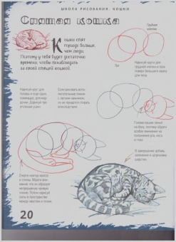 Марк Берджин: Школа рисования. Кошки