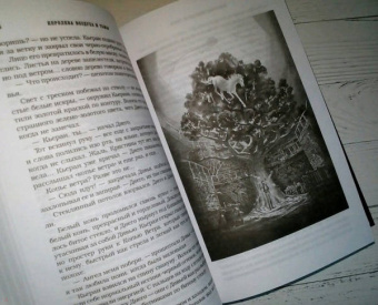 Кассандра Клэр: Темные искусства. Королева воздуха и тьмы