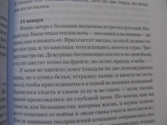 Николай Раевский: Дневник галлиполийца