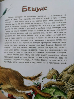 Анна Никольская: Книга чуДОМищ